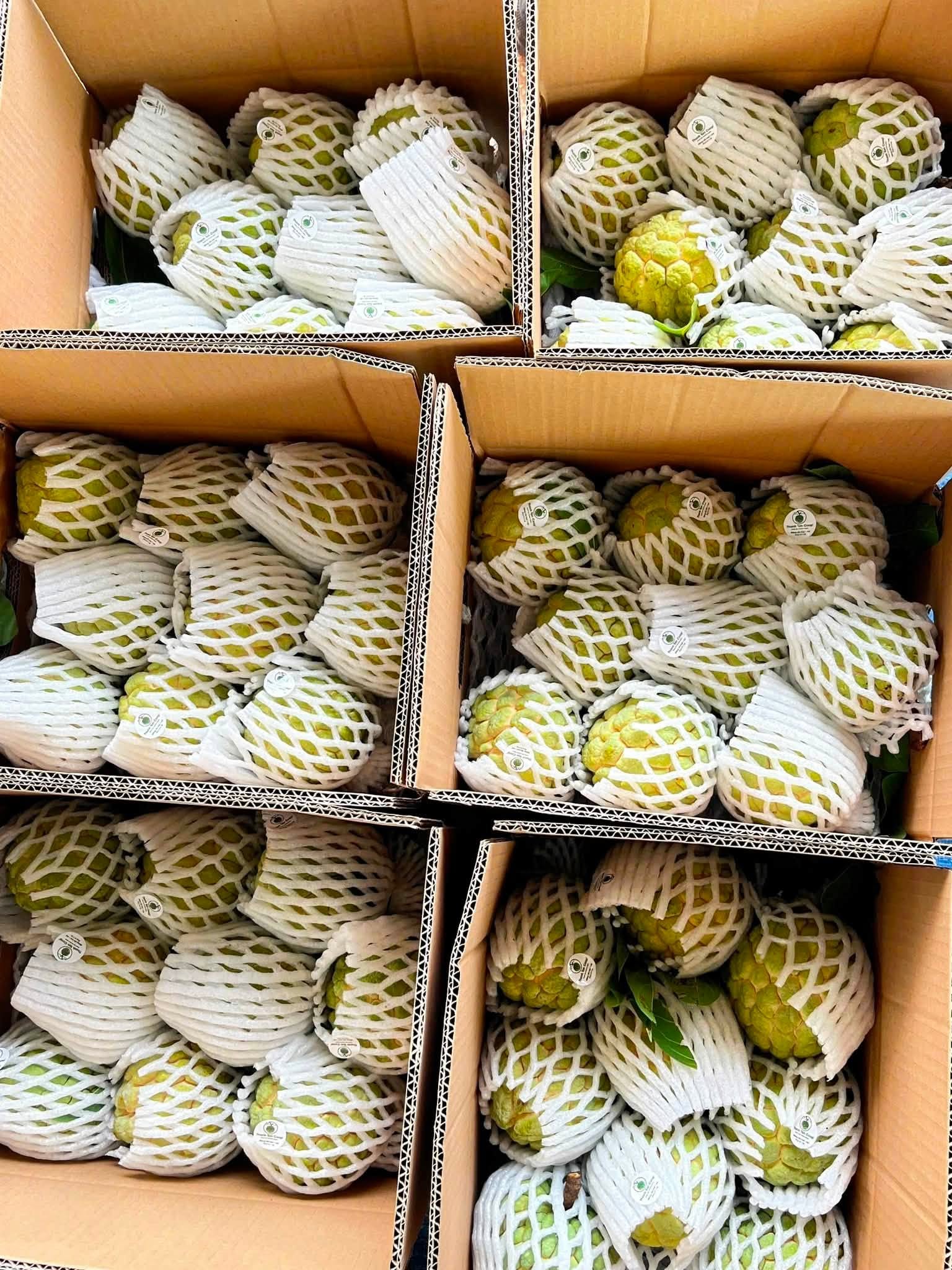 Đơn hàng hợp tác